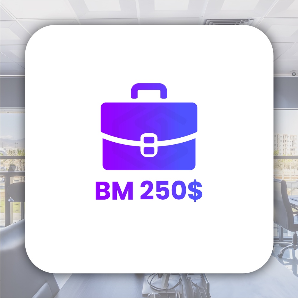 BM 250$