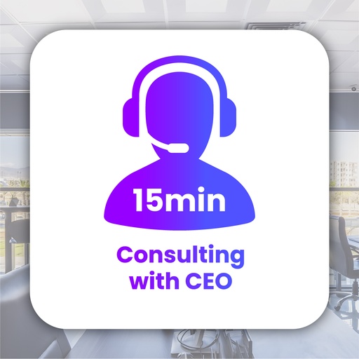 [CN] 15 min Consulting with CEO