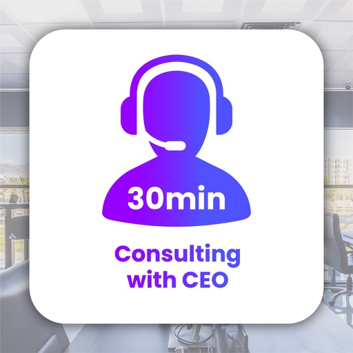 [CN] 30 min Consulting with CEO